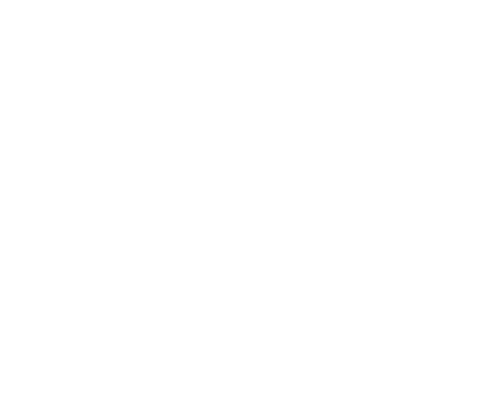 logo Hôtel du midi