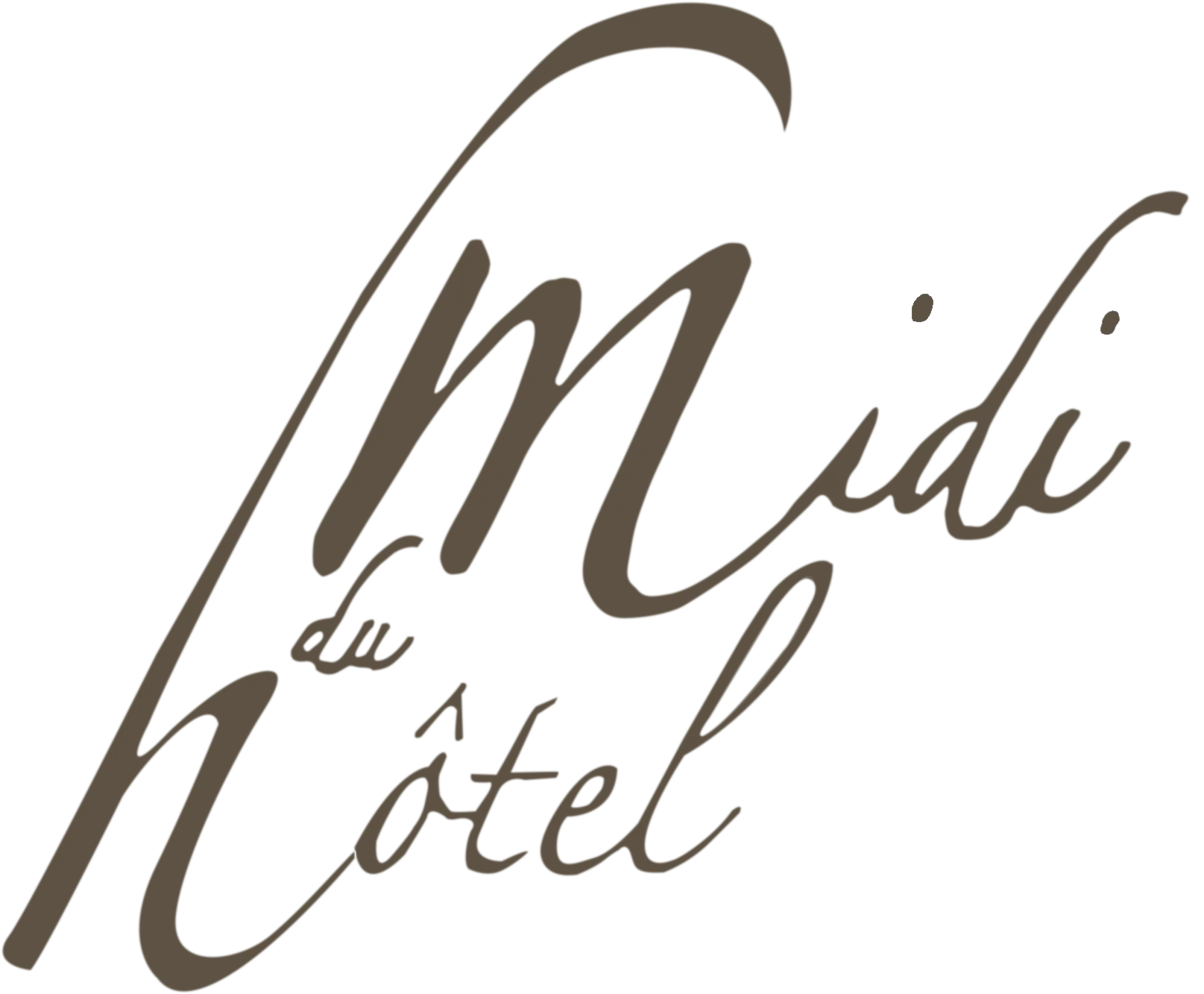 logo Hôtel du midi